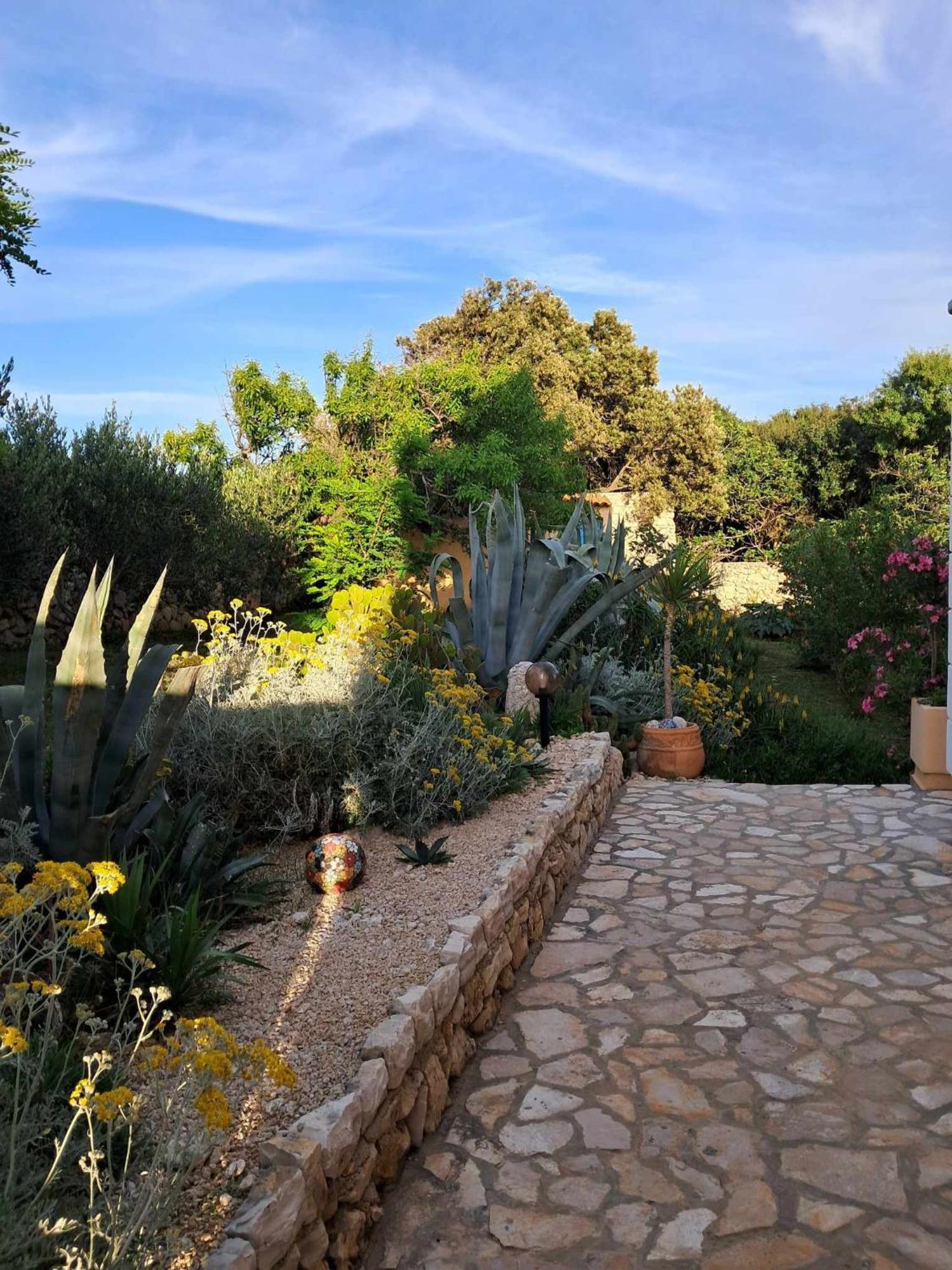 Villa Cesarica Novalja Exterior foto