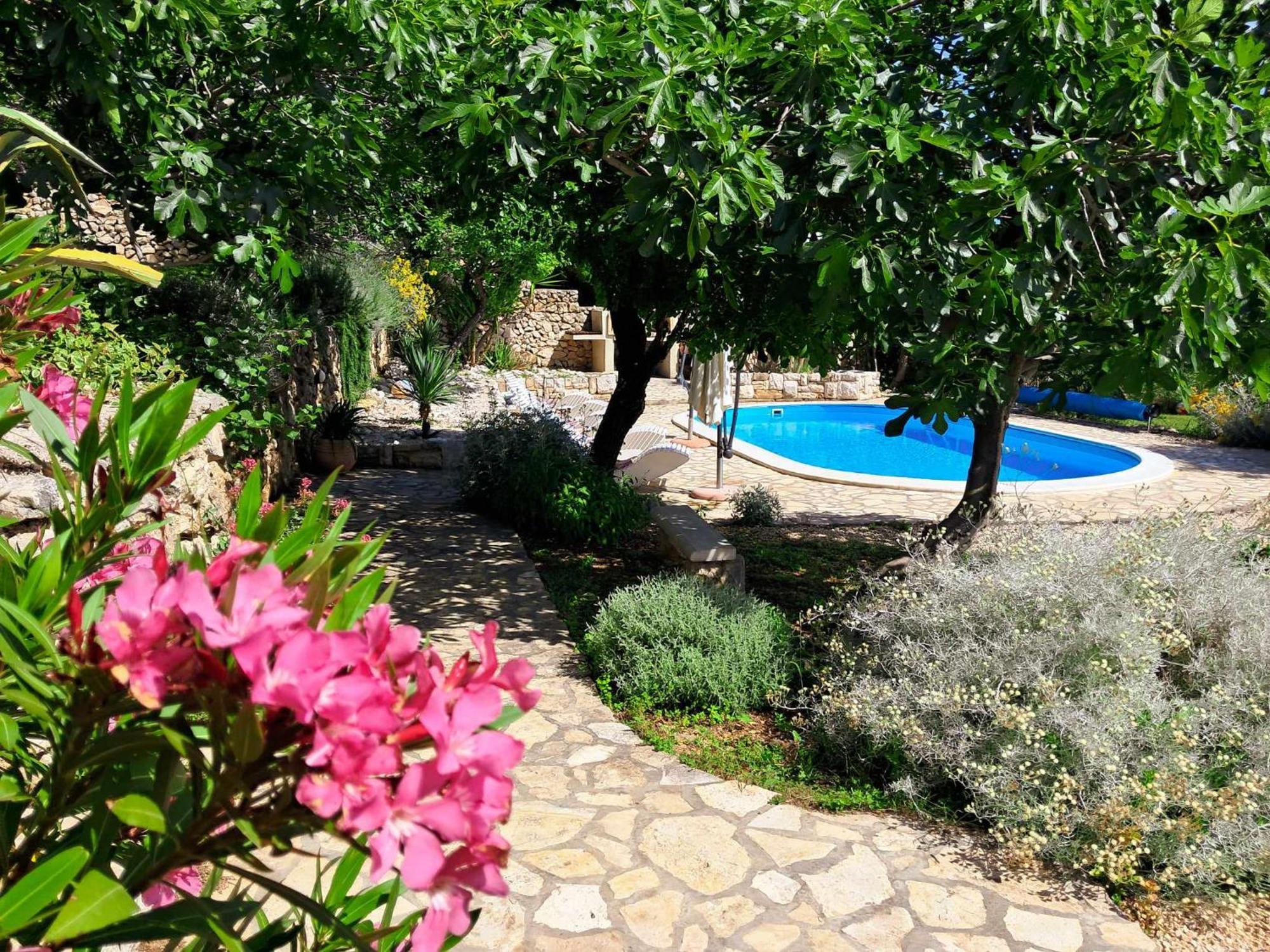 Villa Cesarica Novalja Exterior foto